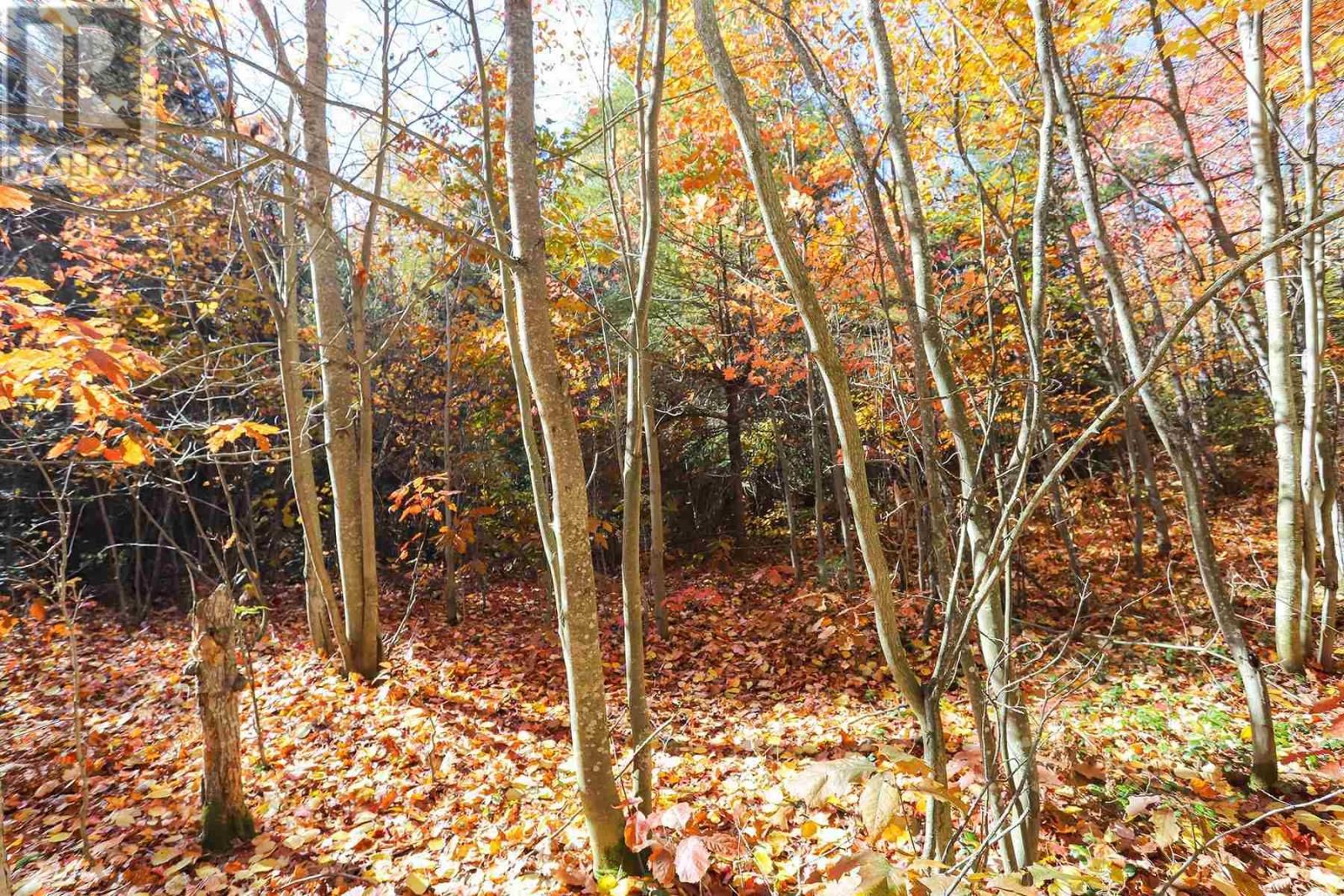 Lot 17 Nokomis Beach Rd, Sault Ste. Marie, Ontario  P6A 5K6 - Photo 11 - SM250055