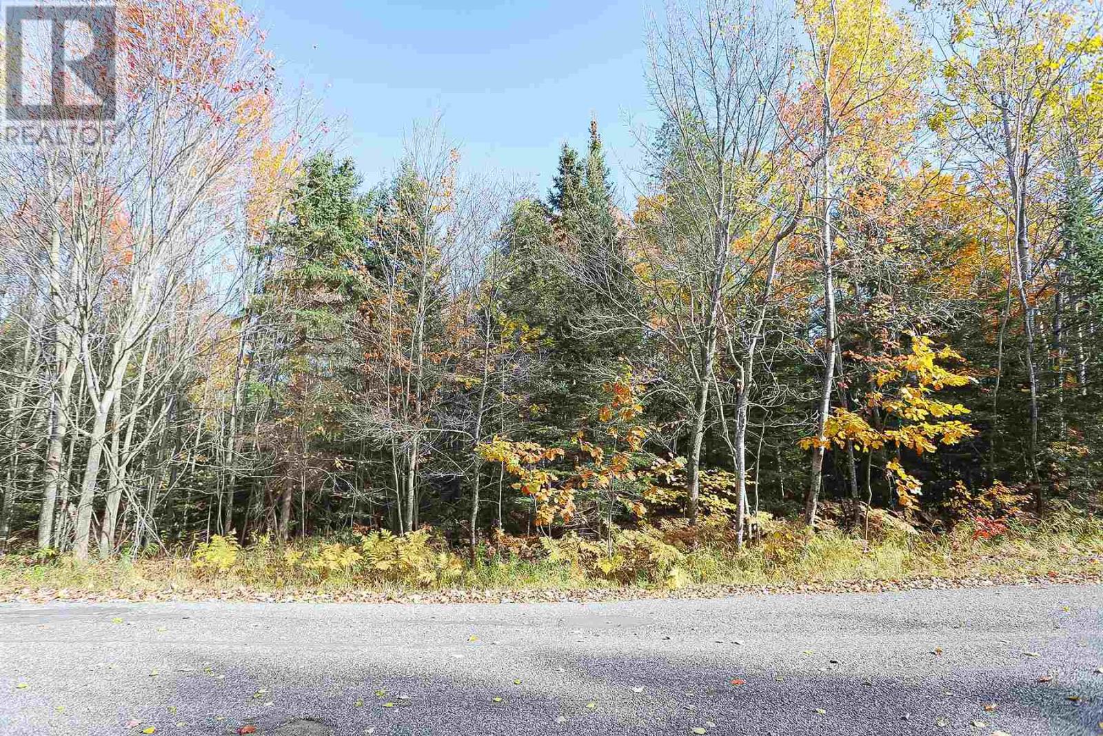 Lot 17 Nokomis Beach Rd, Sault Ste. Marie, Ontario  P6A 5K6 - Photo 9 - SM250055