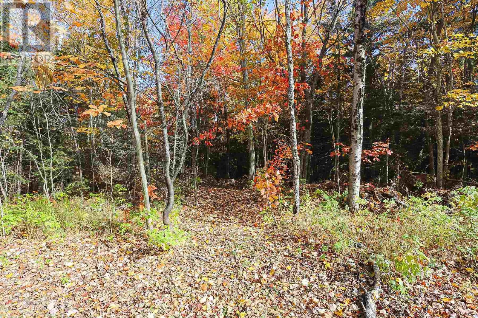 Lot 17 Nokomis Beach Rd, Sault Ste. Marie, Ontario  P6A 5K6 - Photo 5 - SM250055