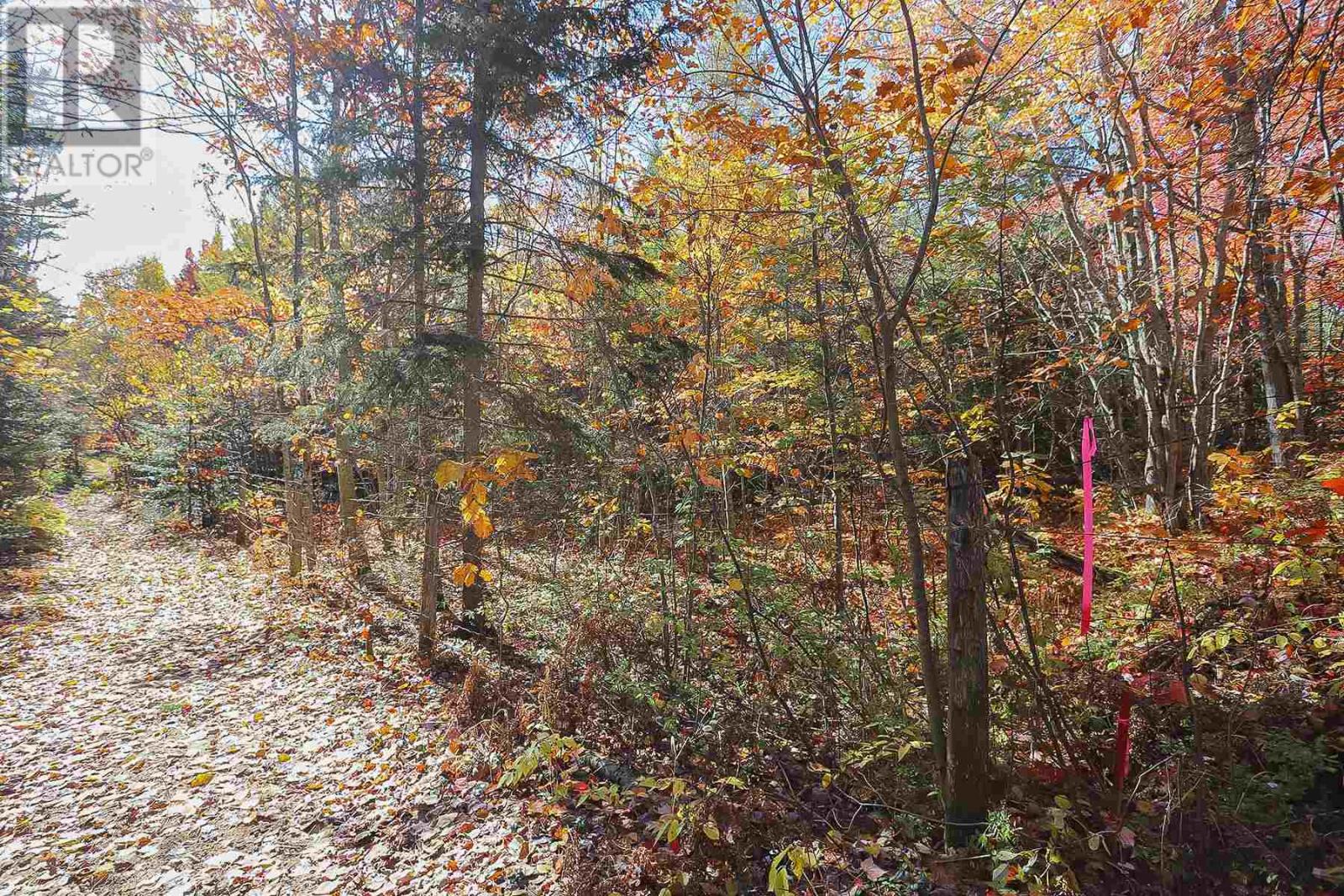 Lot 17 Nokomis Beach Rd, Sault Ste. Marie, Ontario  P6A 5K6 - Photo 10 - SM250055