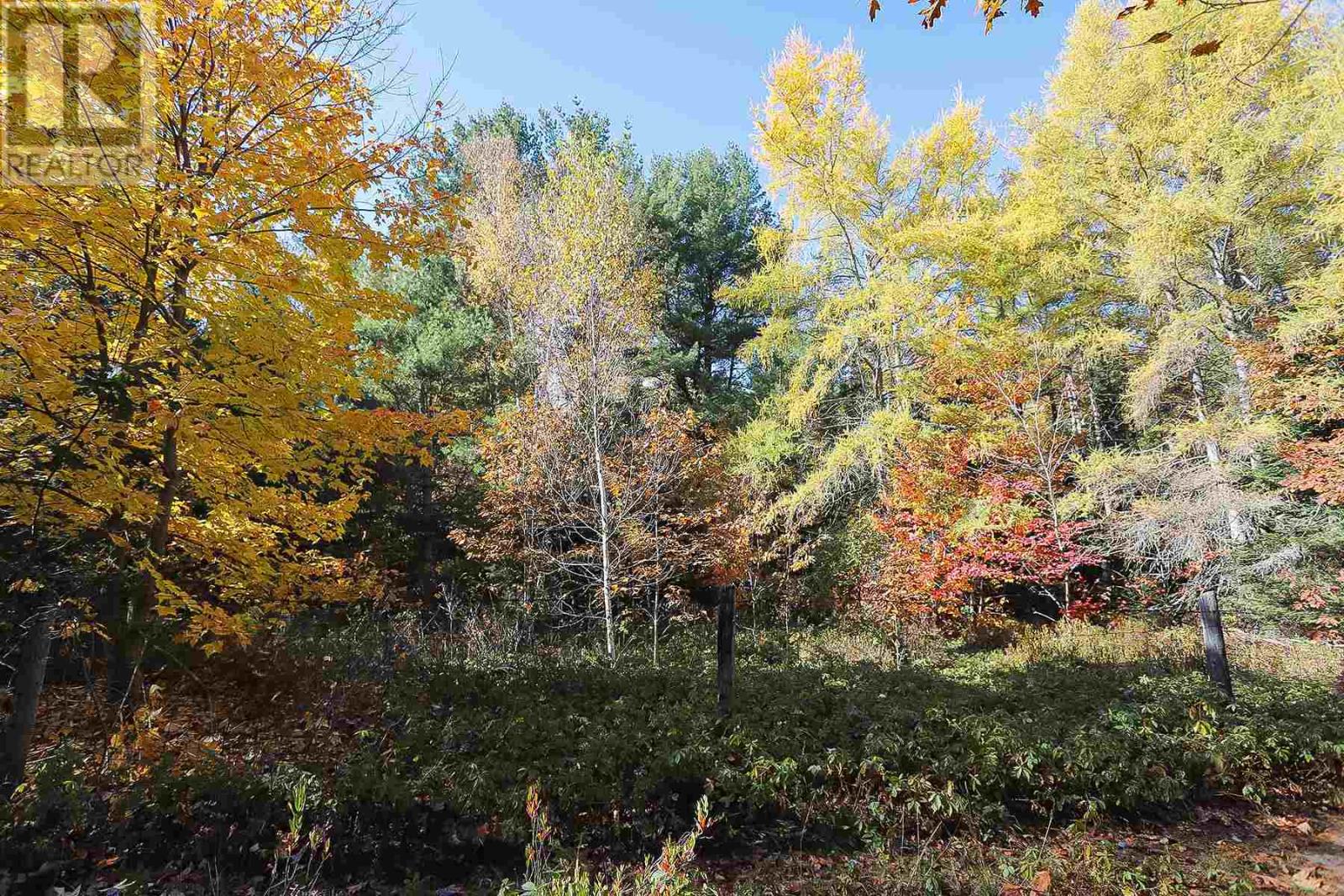 Lot 16 Nokomis Beach Rd, Sault Ste. Marie, Ontario  P6A 5K6 - Photo 11 - SM250057