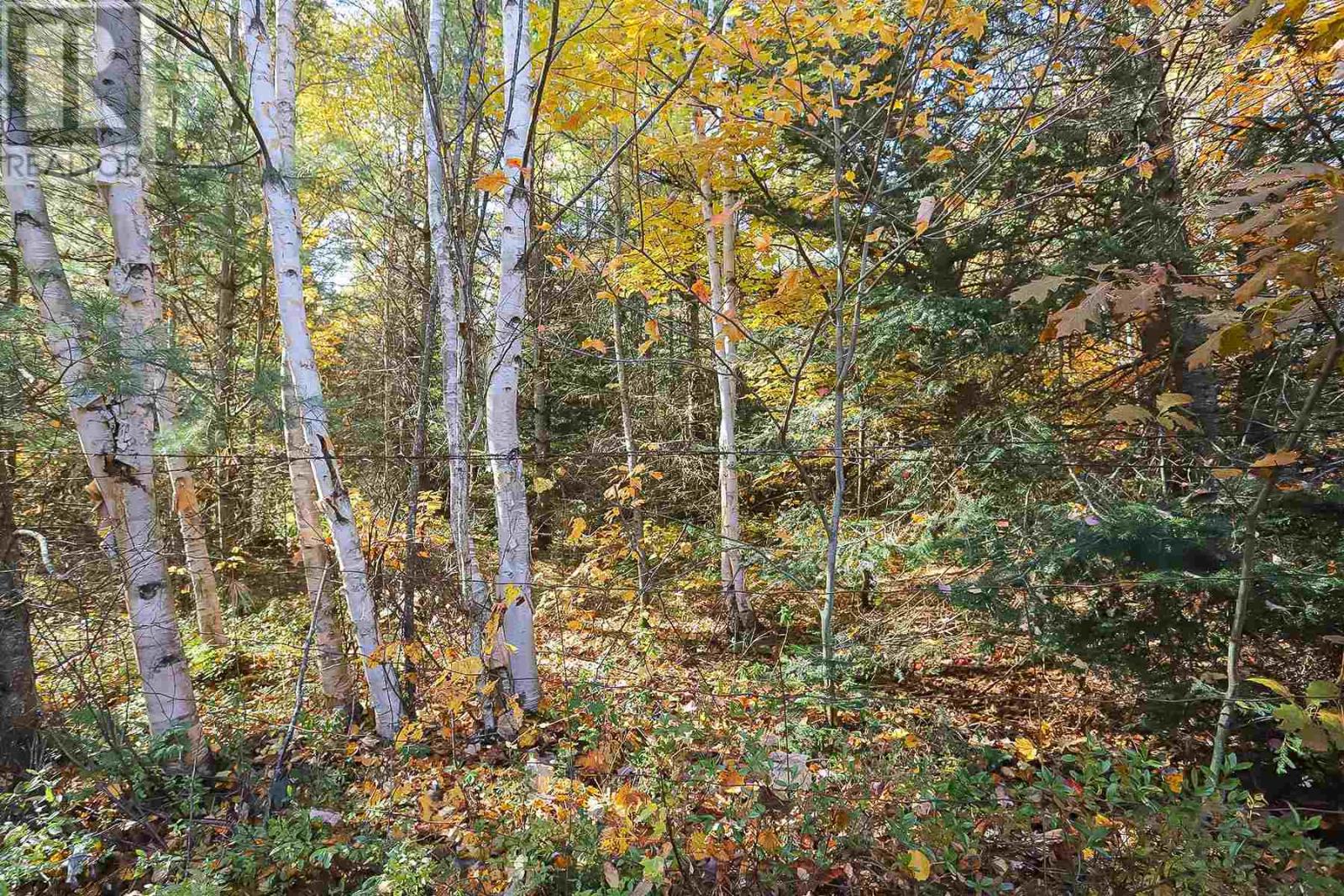 Lot 17 Nokomis Beach Rd, Sault Ste. Marie, Ontario  P6A 5K6 - Photo 13 - SM250055