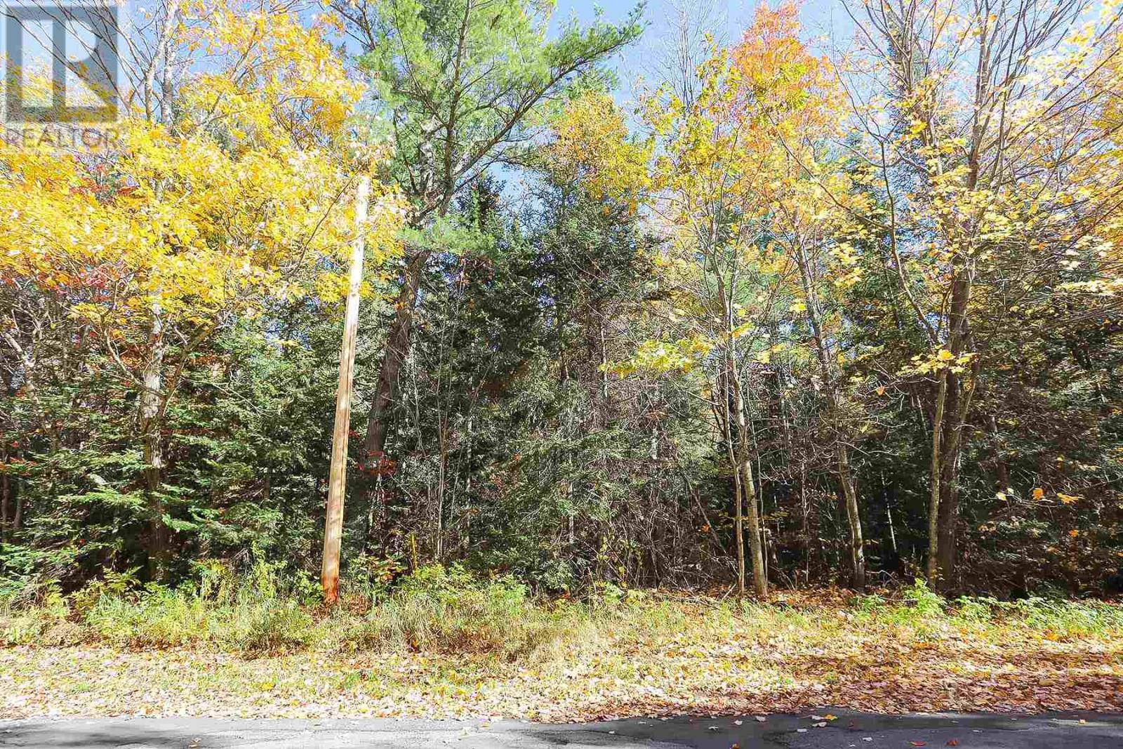 Lot 17 Nokomis Beach Rd, Sault Ste. Marie, Ontario  P6A 5K6 - Photo 3 - SM250055