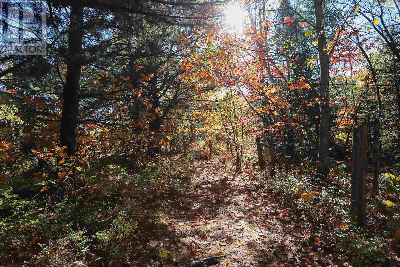 Lot 16 Nokomis Beach Rd, Sault Ste. Marie, Ontario  P6A 5K6 - Photo 12 - SM250057