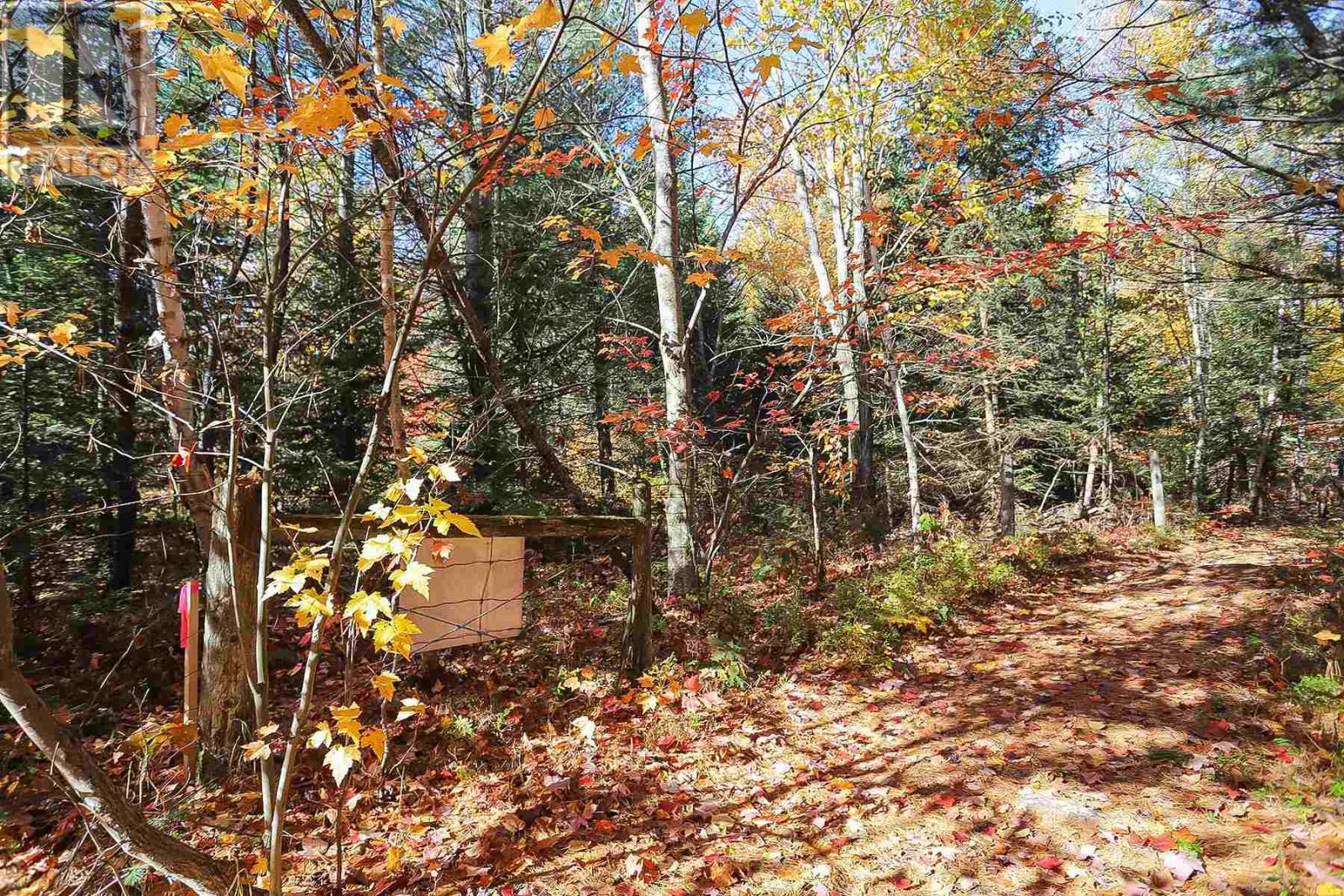 Lot 16 Nokomis Beach Rd, Sault Ste. Marie, Ontario  P6A 5K6 - Photo 13 - SM250057