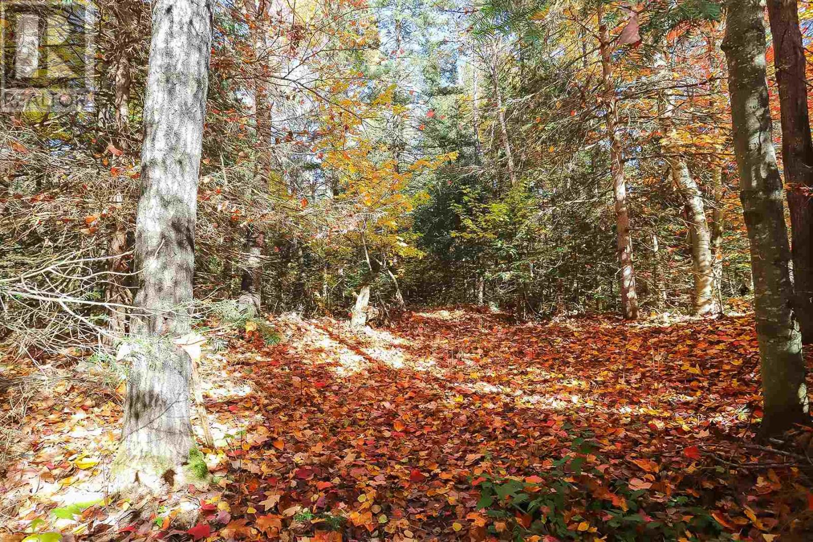 Lot 16 Nokomis Beach Rd, Sault Ste. Marie, Ontario  P6A 5K6 - Photo 6 - SM250057