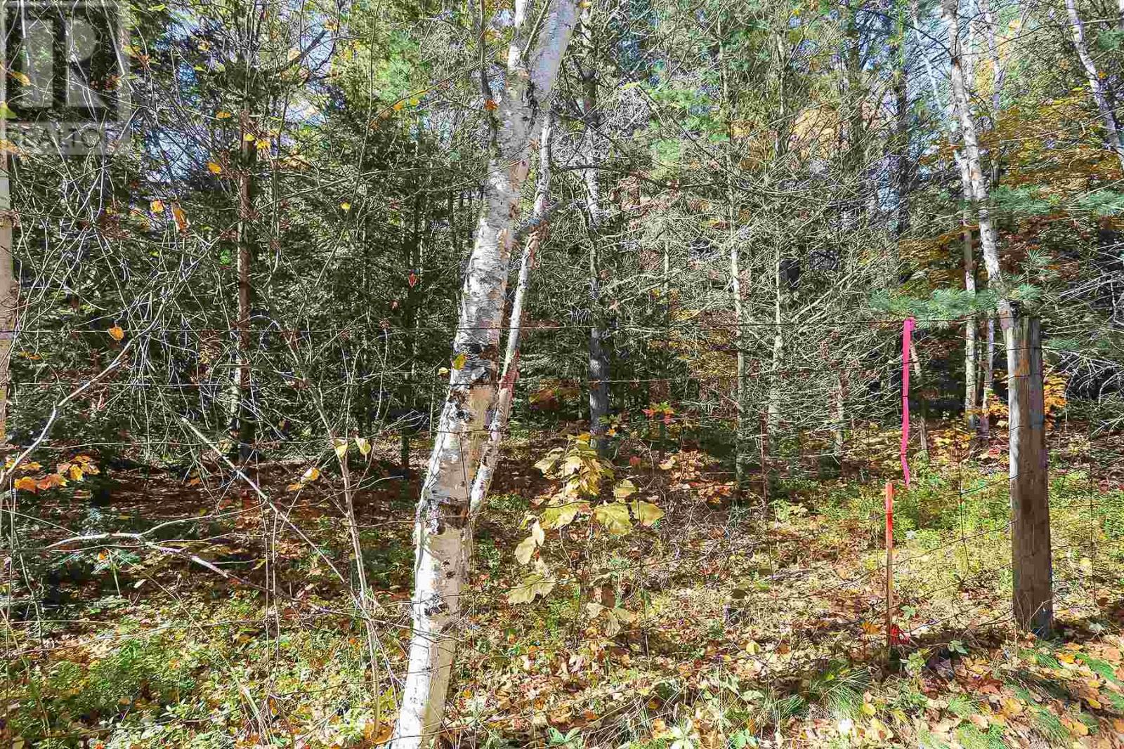 Lot 16 Nokomis Beach Rd, Sault Ste. Marie, Ontario  P6A 5K6 - Photo 7 - SM250057