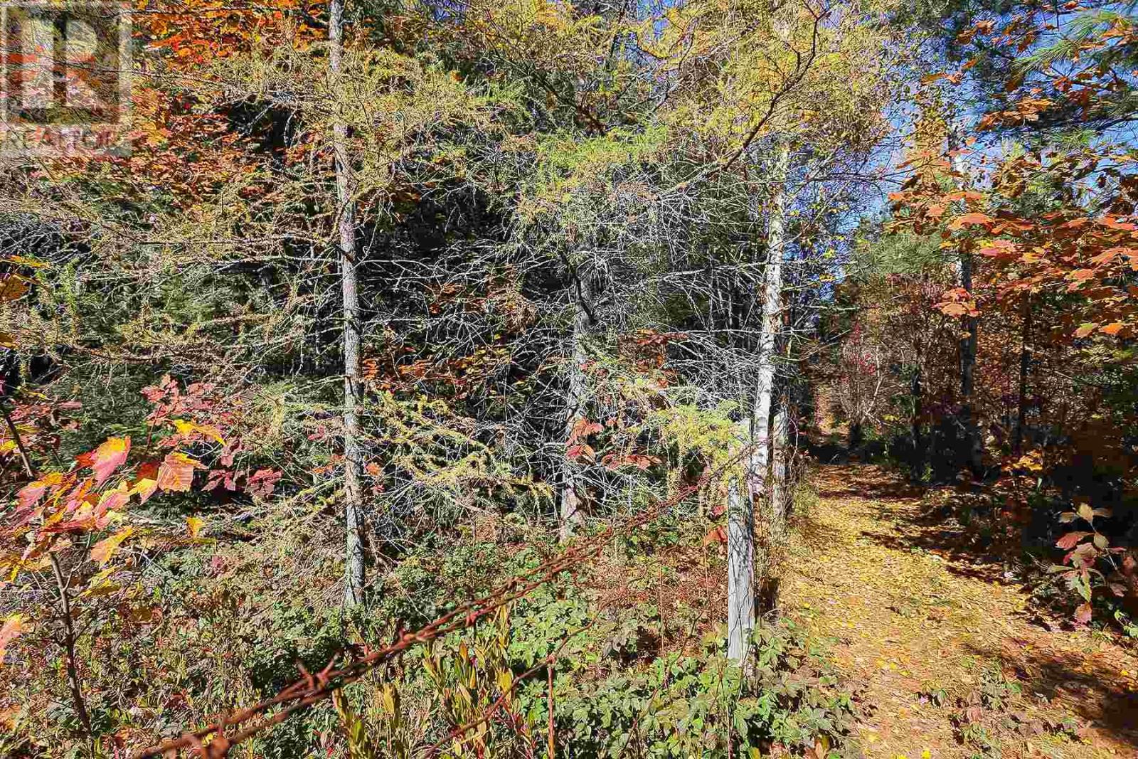 Lot 16 Nokomis Beach Rd, Sault Ste. Marie, Ontario  P6A 5K6 - Photo 9 - SM250057