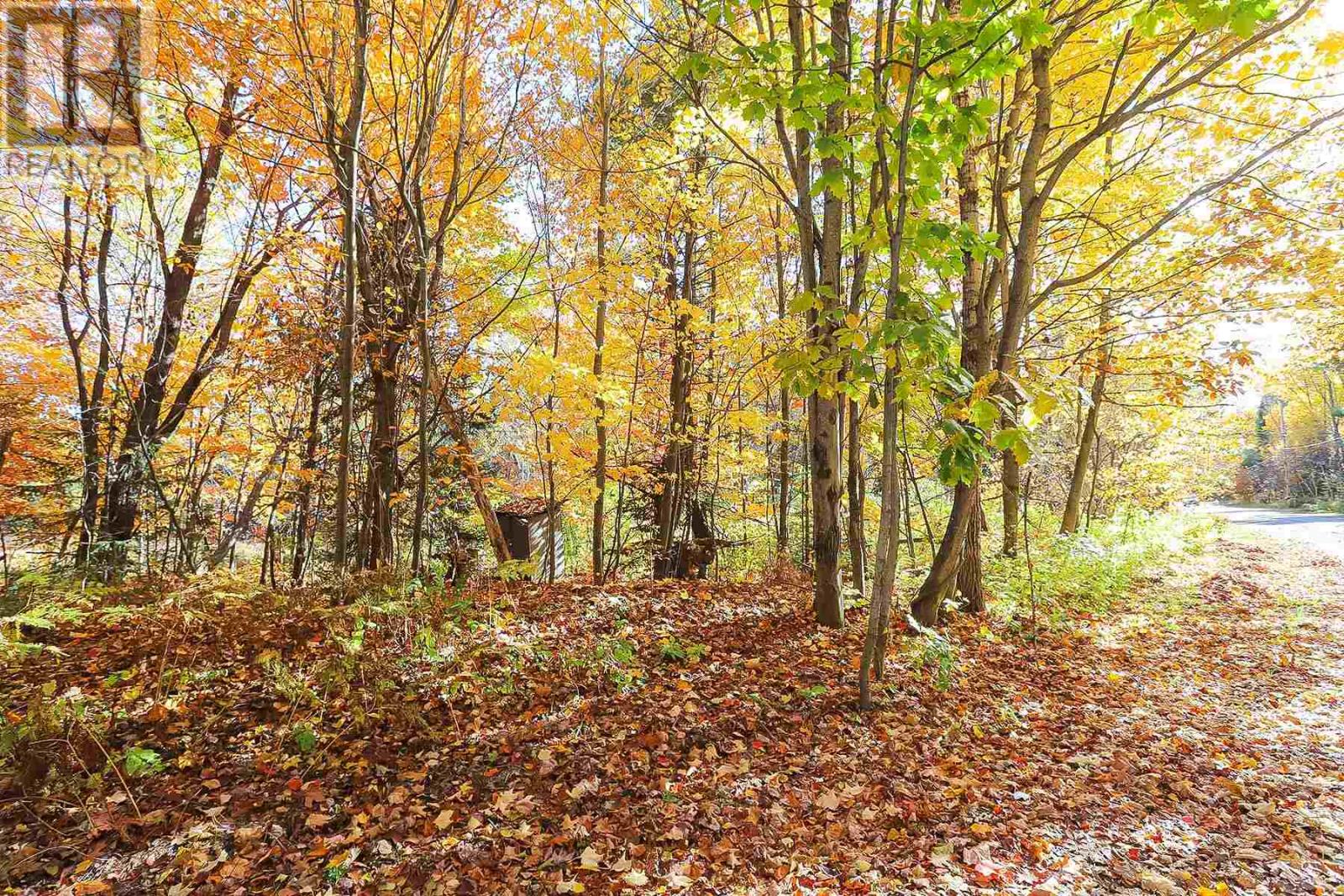 Lot 19 Nokomis Beach Rd, Sault Ste. Marie, Ontario  P6A 5K6 - Photo 11 - SM250059