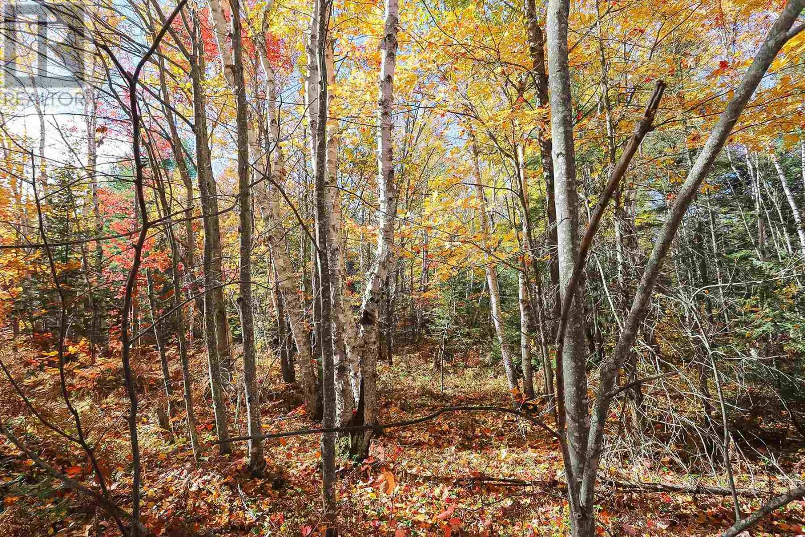 Lot 19 Nokomis Beach Rd, Sault Ste. Marie, Ontario  P6A 5K6 - Photo 7 - SM250059