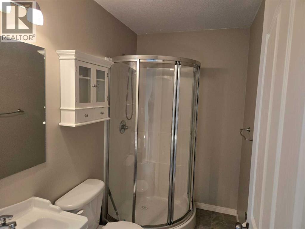 223 Baker Street, Hinton, Alberta  T7V 2C4 - Photo 21 - A2291721