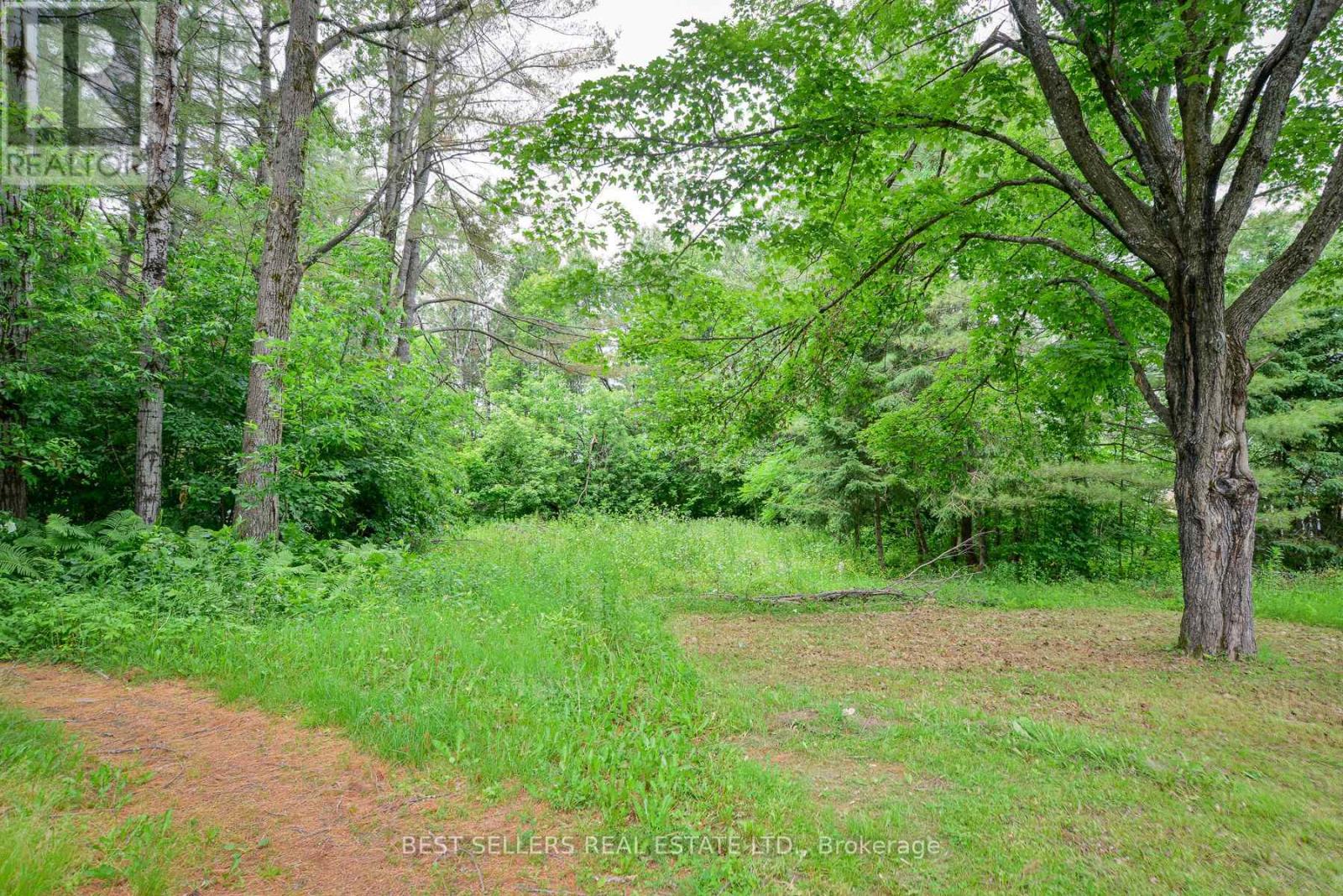 253 Maple Street, Bracebridge (Macaulay), Ontario  P1L 1K3 - Photo 6 - X12909988