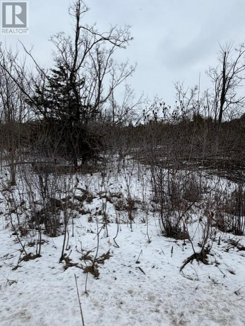 Lot 3 Lakefield Road, Selwyn, Ontario K9J 6X5 - Photo 3 - X12910334