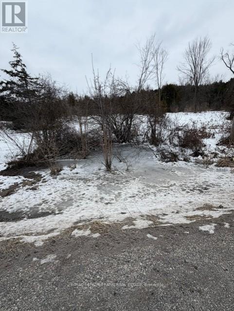 Lot 3 Lakefield Road, Selwyn, Ontario K9J 6X5 - Photo 4 - X12910334