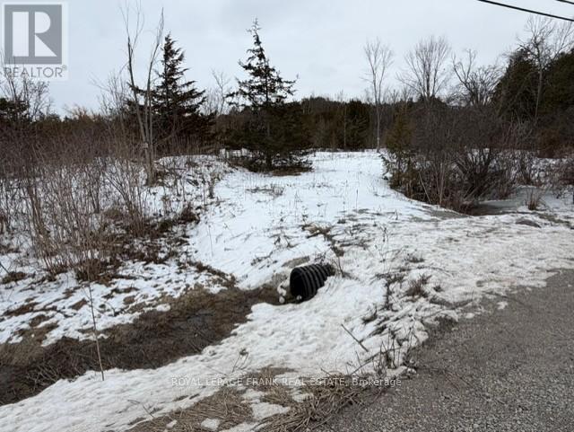 Lot 3 Lakefield Road, Selwyn, Ontario K9J 6X5 - Photo 5 - X12910334