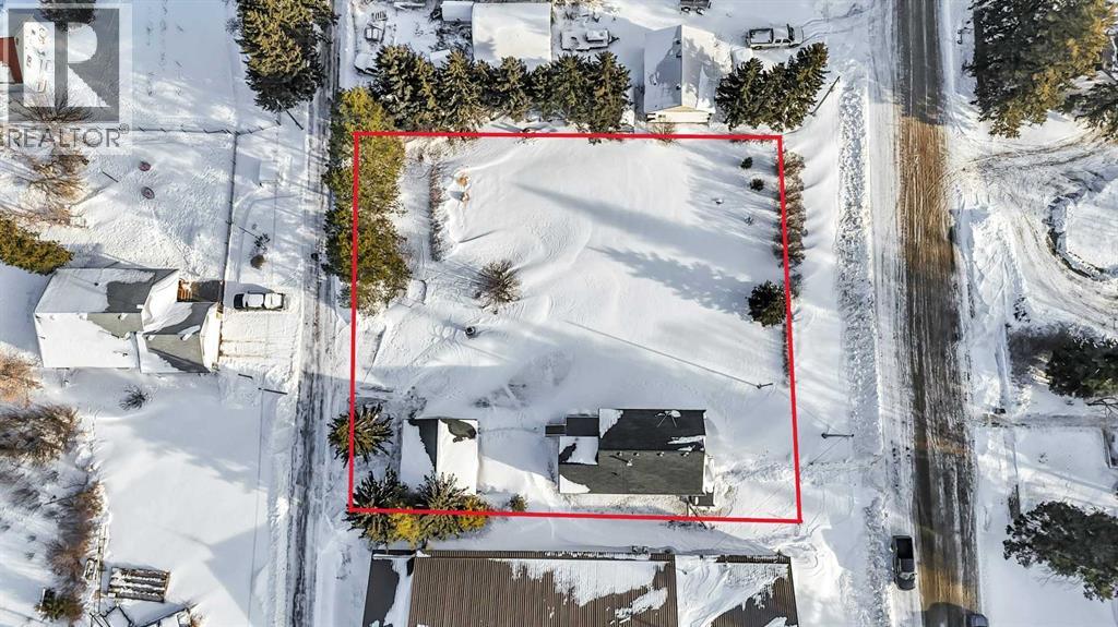 1024 19 Avenue, Lousana, Alberta  T0M 1K0 - Photo 47 - A2276662