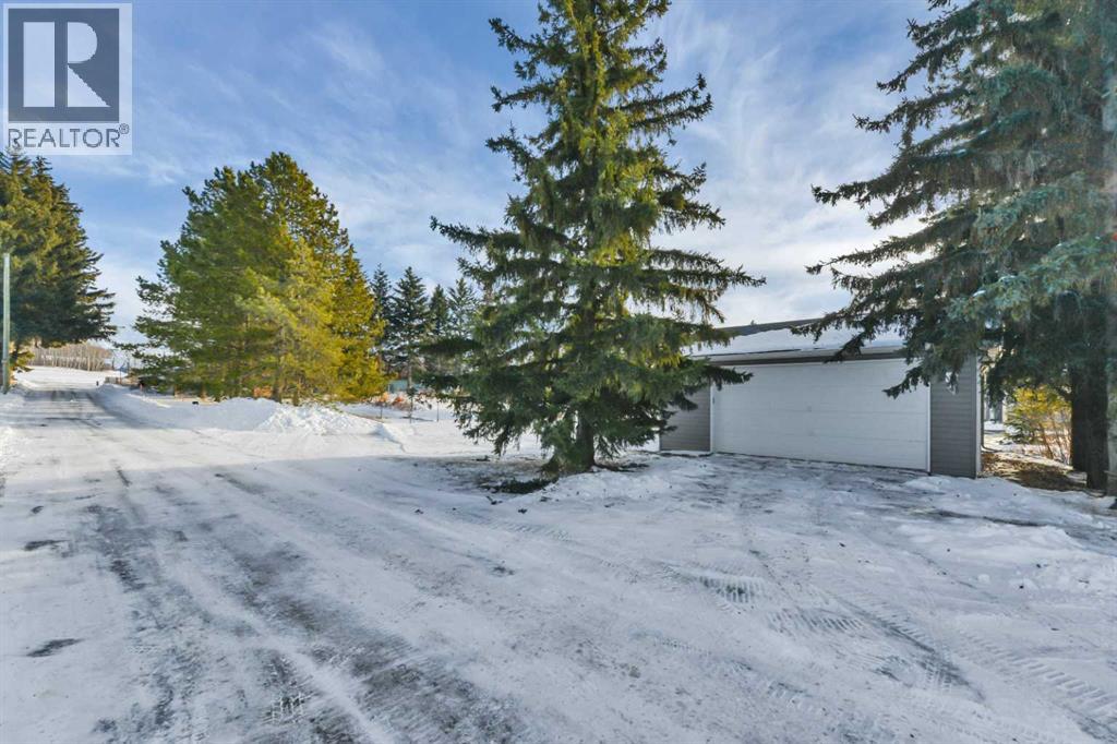 1024 19 Avenue, Lousana, Alberta  T0M 1K0 - Photo 34 - A2276662
