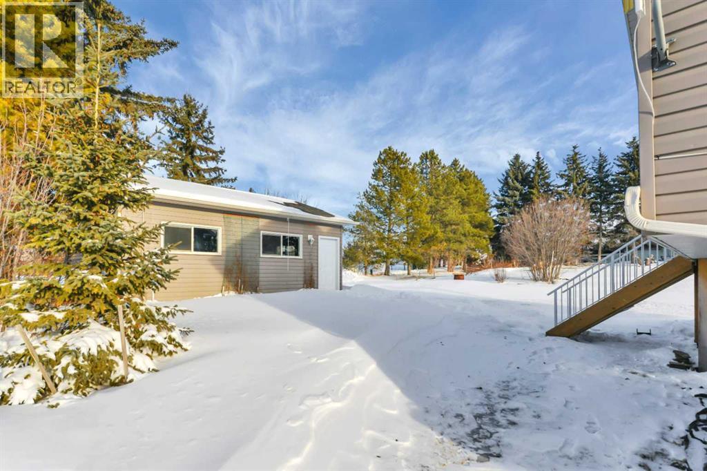 1024 19 Avenue, Lousana, Alberta  T0M 1K0 - Photo 33 - A2276662