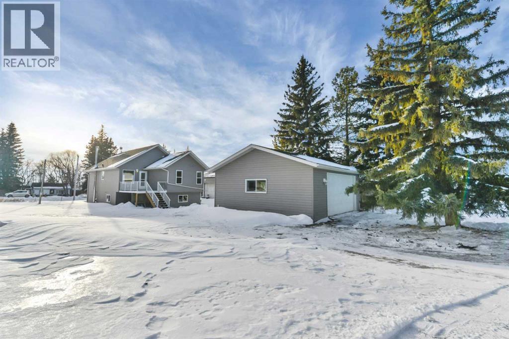 1024 19 Avenue, Lousana, Alberta  T0M 1K0 - Photo 35 - A2276662