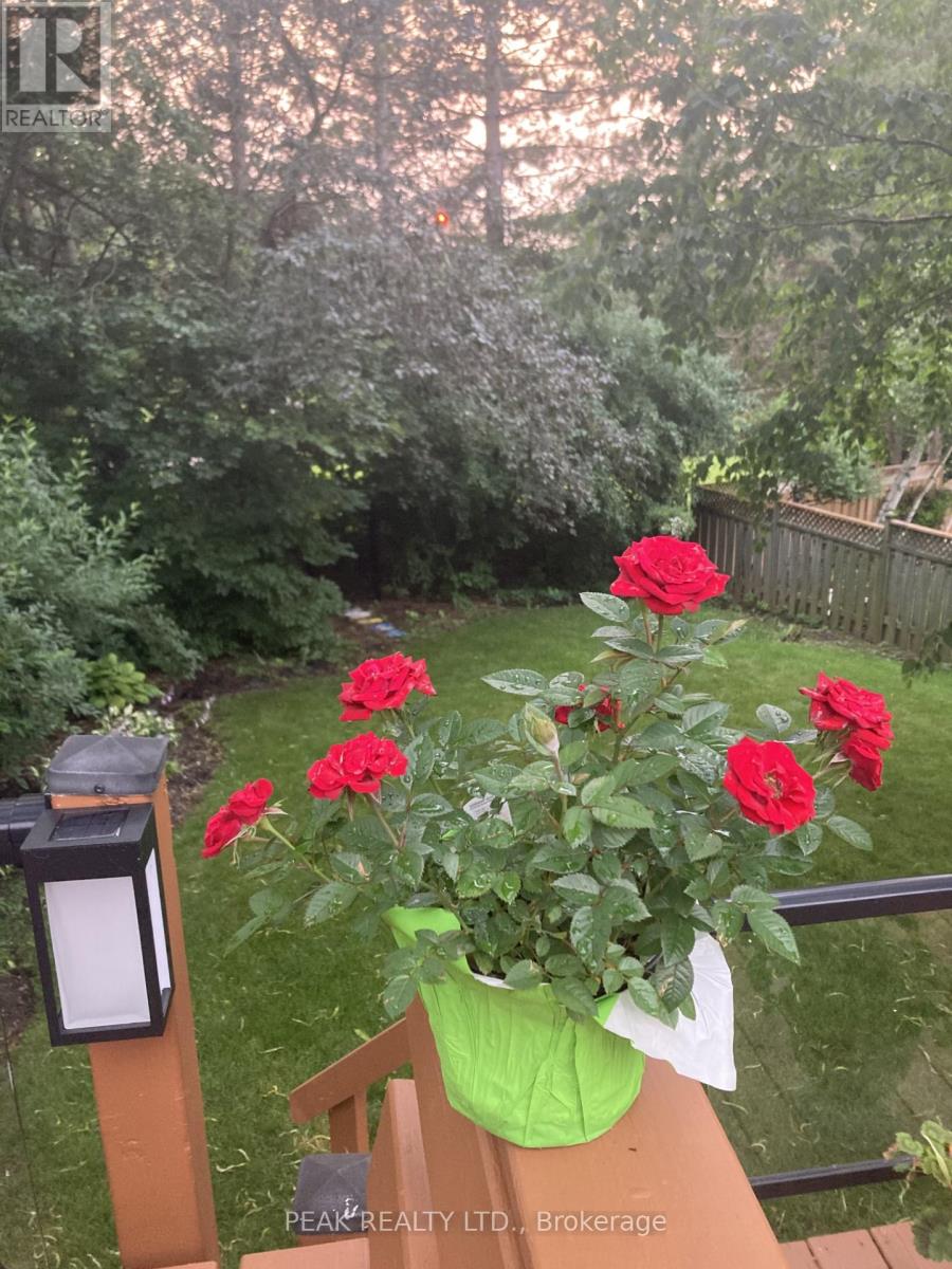 327 Wyecroft Boulevard, Waterloo, Ontario  N2T 2H3 - Photo 44 - X12910240