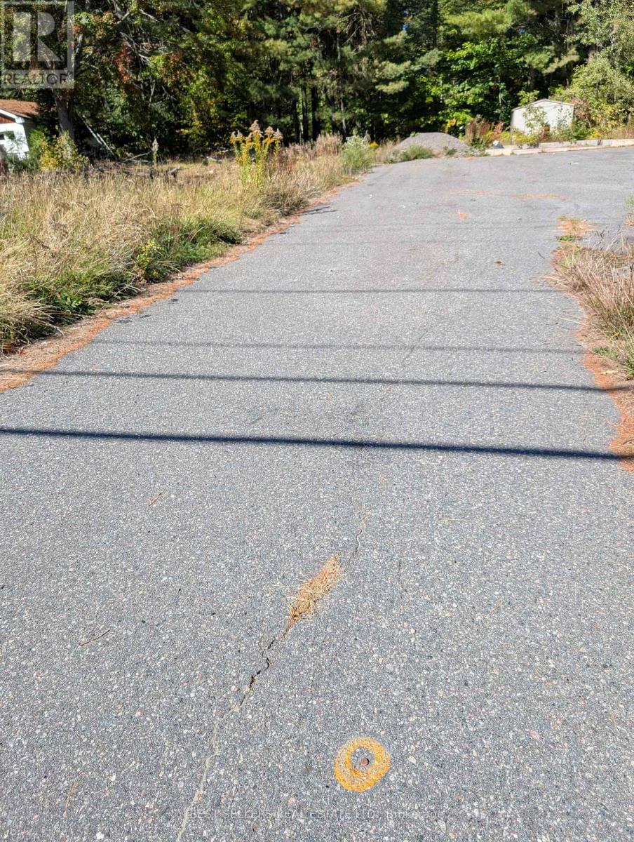 247 Maple Street, Bracebridge, Ontario  P1L 1K3 - Photo 4 - X12910322