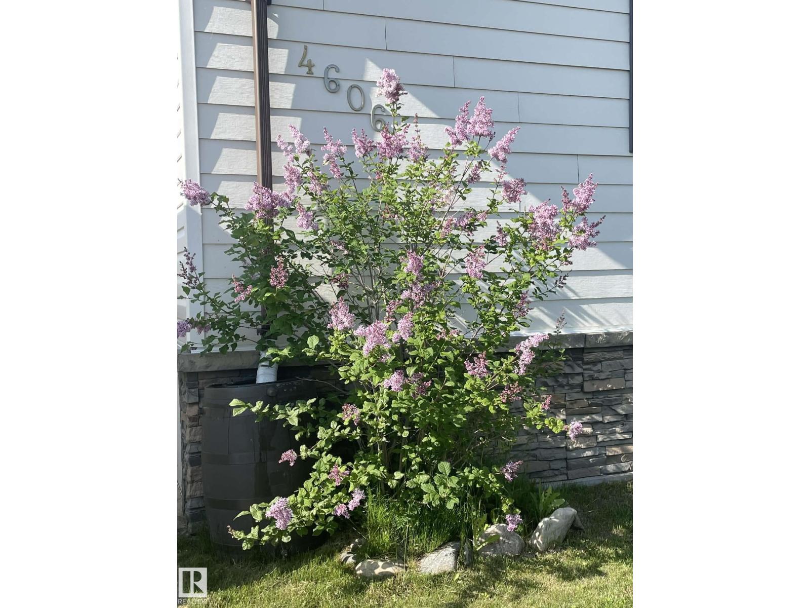 4606 Labrador Rd, Cold Lake, Alberta  T9M 0C6 - Photo 29 - E4478685