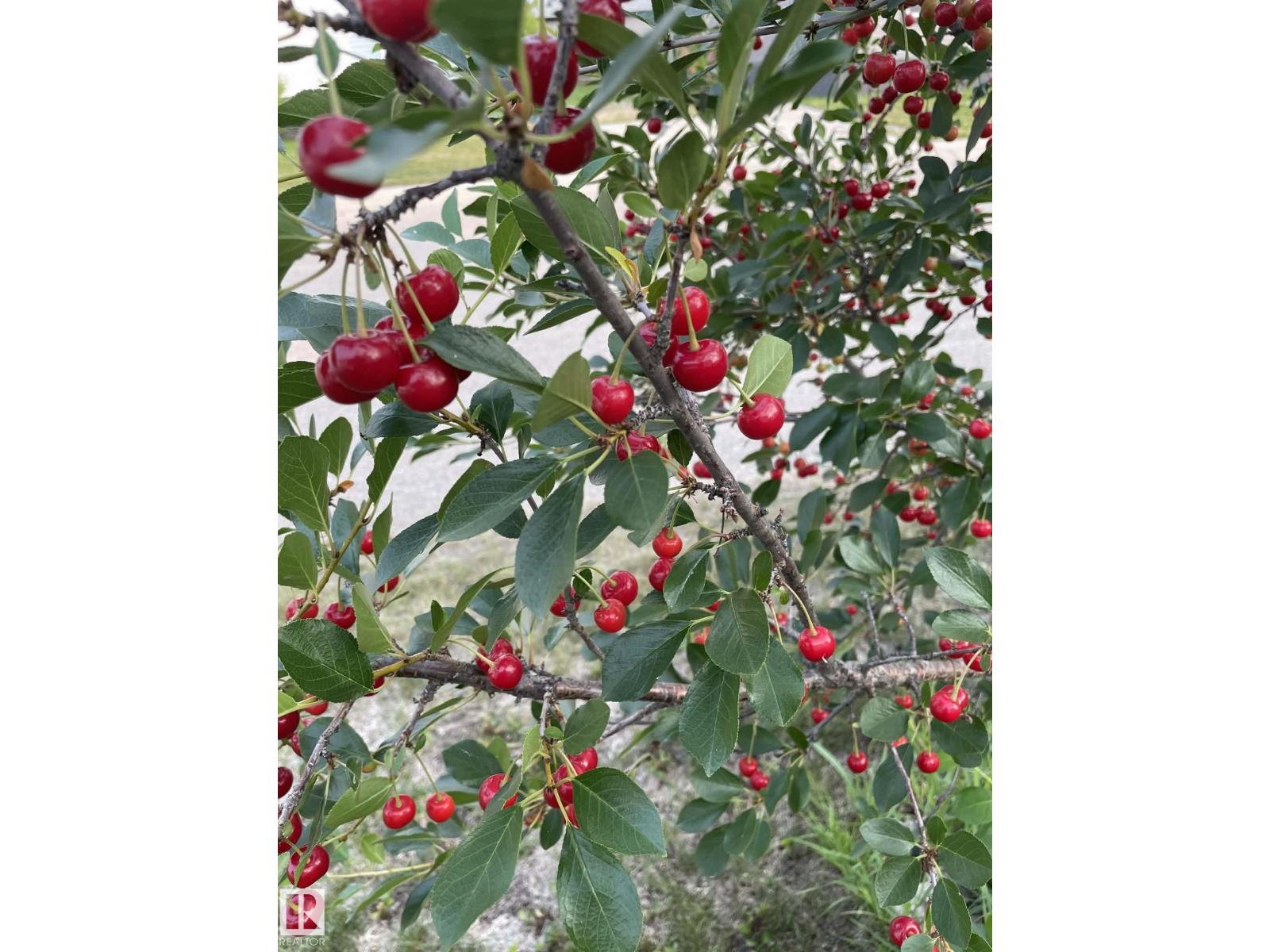 4606 Labrador Rd, Cold Lake, Alberta  T9M 0C6 - Photo 30 - E4478685