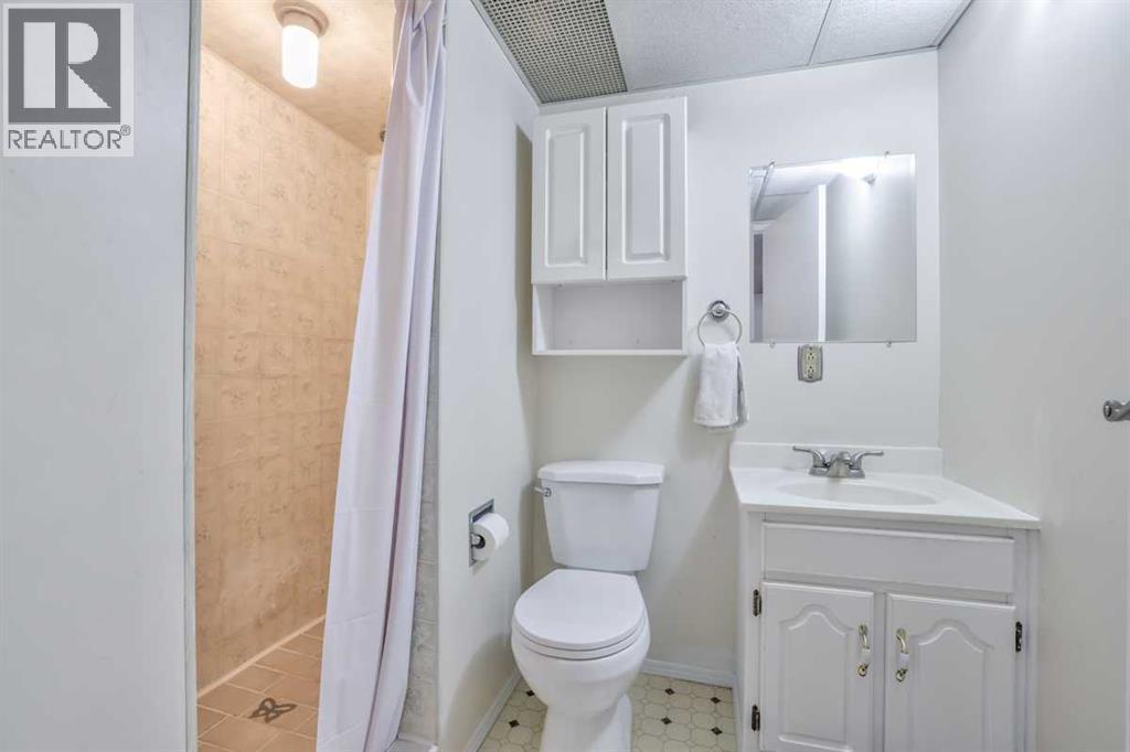 232 Templeside Circle Ne, Calgary, Alberta  T1Y 3L9 - Photo 25 - A2294508