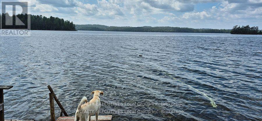 855 Lake Temagami Island, Temagami, Ontario  P0H 2H0 - Photo 18 - X12910424