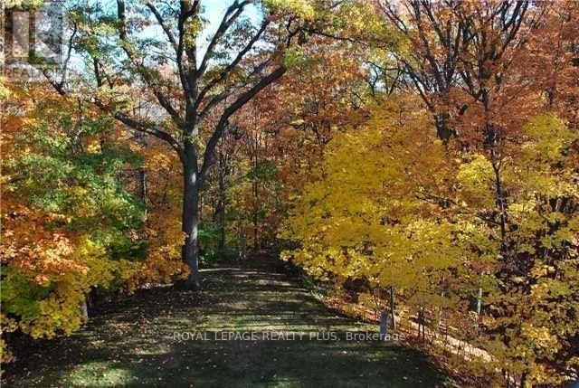 305 - 390 Upper Middle Road E, Oakville, Ontario  L6H 0A5 - Photo 34 - W12910488