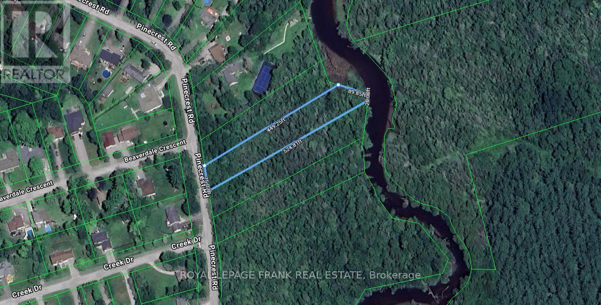 0 Pinecrest Road, Georgina, Ontario  L0E 1N0 - Photo 4 - N12910778