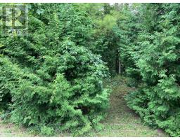 0 PINECREST ROAD, Georgina, Ontario