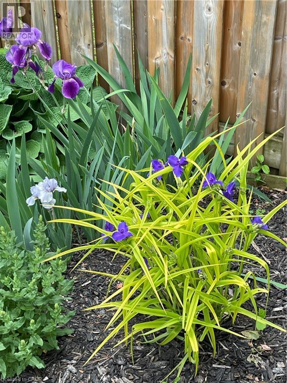 33 Joseph Street, Guelph, Ontario  N1E 2W4 - Photo 40 - 40810976