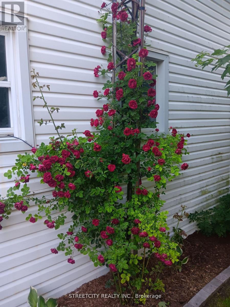 156 Maple Street, West Elgin, Ontario  N0L 2C0 - Photo 33 - X12910604