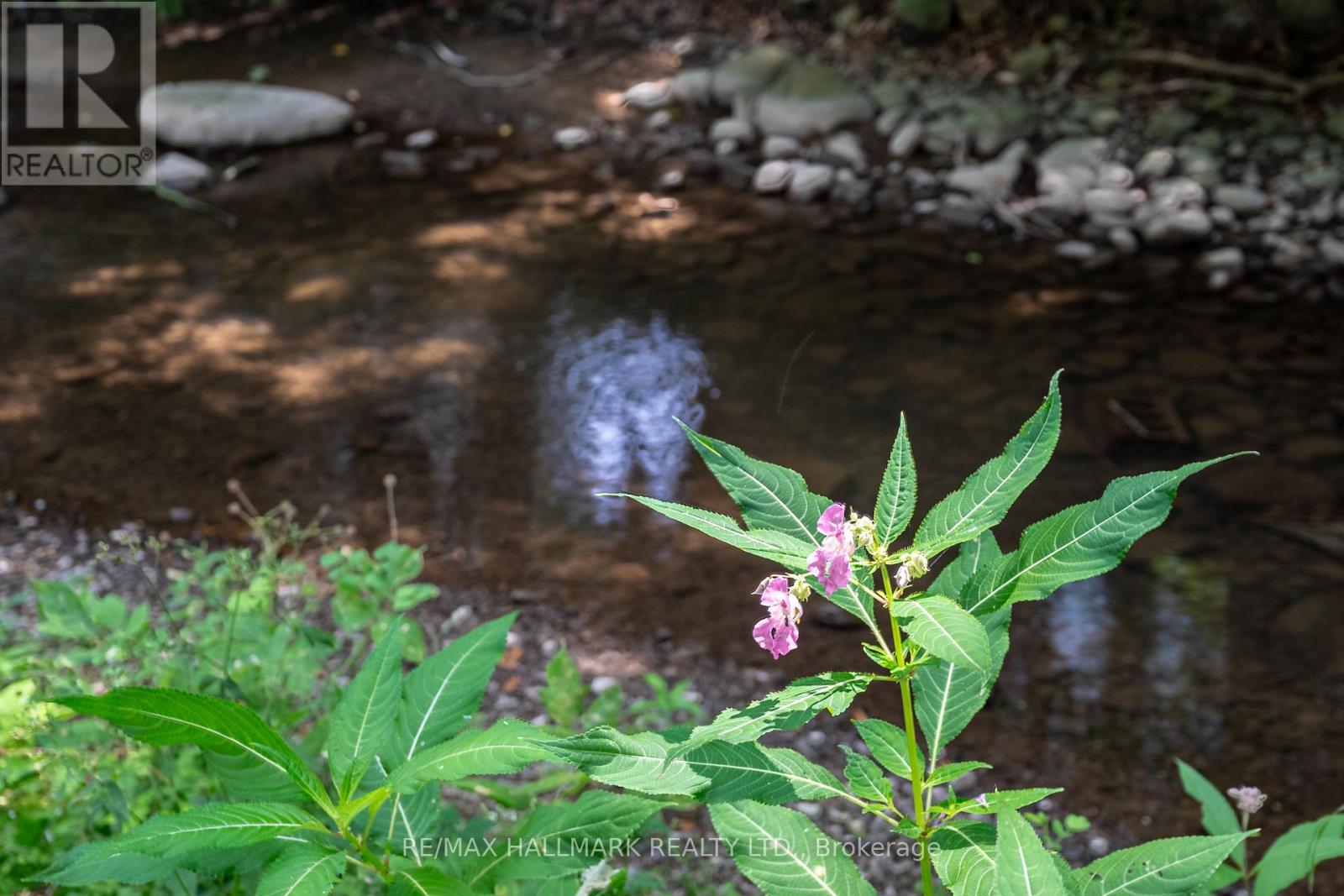 6165 19th Avenue, Markham, Ontario  L3P 3J3 - Photo 39 - N12910606