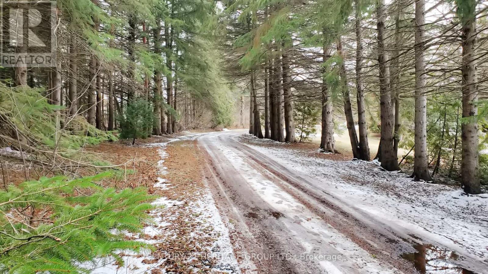 21455 Warden Avenue, East Gwillimbury, Ontario  L0G 1R0 - Photo 3 - N12910654