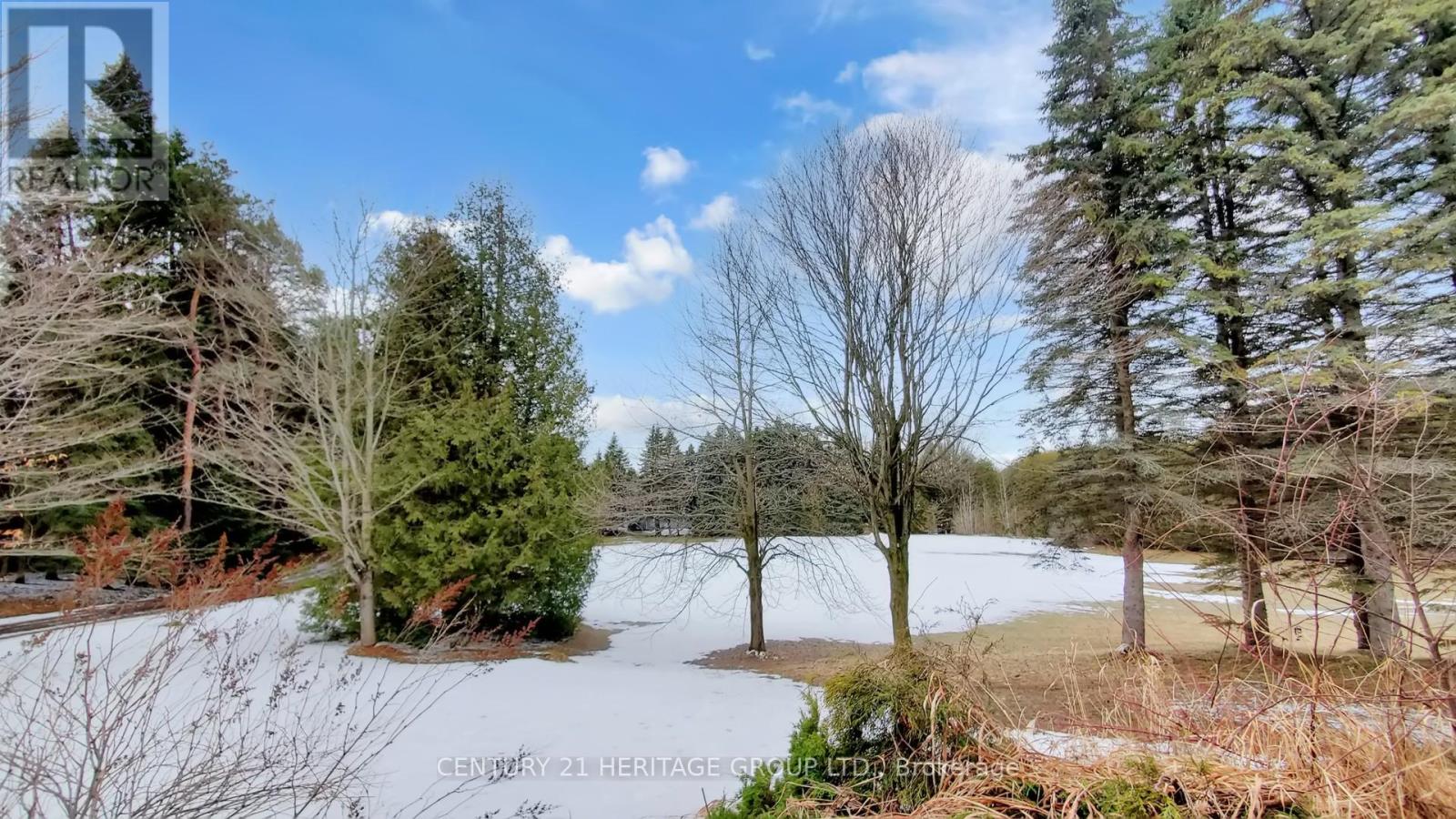 21455 Warden Avenue, East Gwillimbury, Ontario  L0G 1R0 - Photo 46 - N12910654