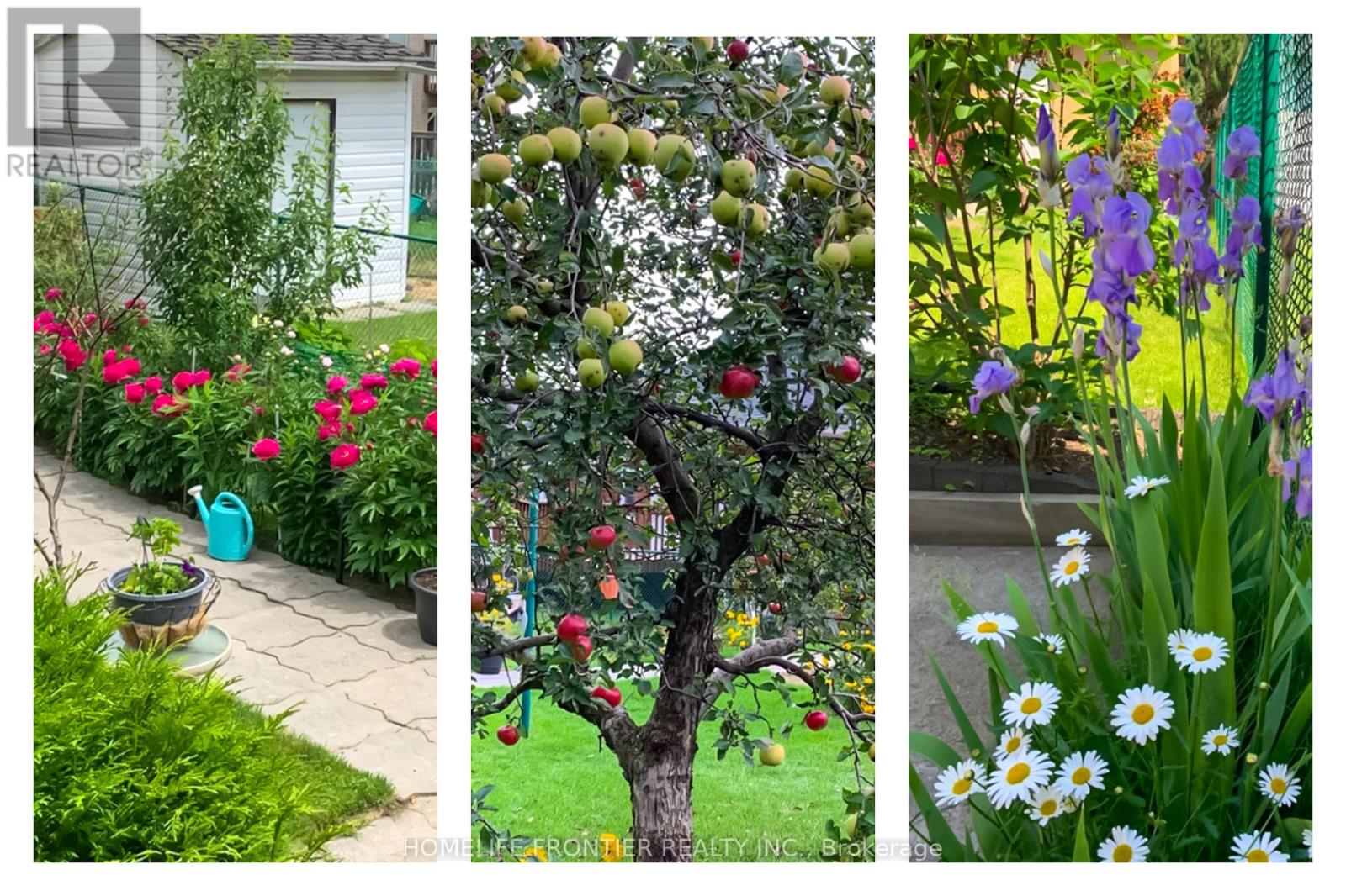 30 Saint Avenue, Bradford West Gwillimbury (Bradford), Ontario  L3Z 3E6 - Photo 49 - N12910692