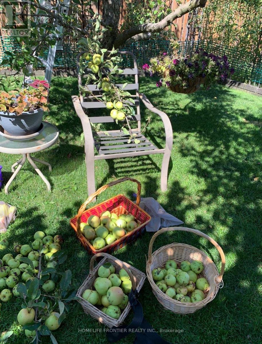 30 Saint Avenue, Bradford West Gwillimbury (Bradford), Ontario  L3Z 3E6 - Photo 50 - N12910692