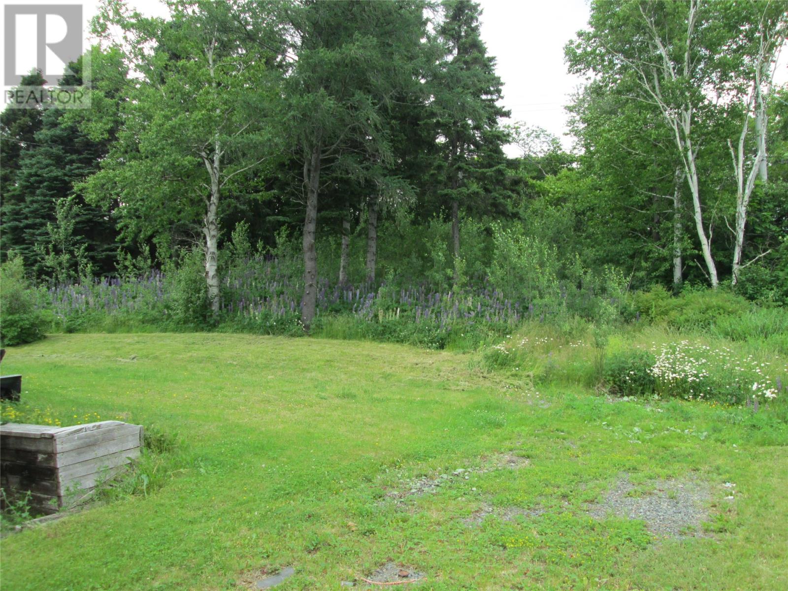 160 Goodyear Avenue, Grand Falls Windsor, Newfoundland & Labrador  A2A 1M4 - Photo 37 - 1295468