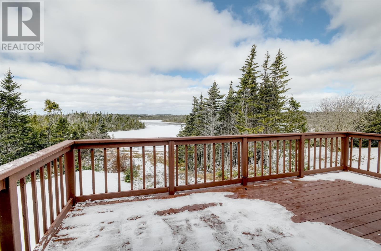 58 Pioneer Line, Salmonier, Newfoundland & Labrador  A0A 2R0 - Photo 3 - 1295466