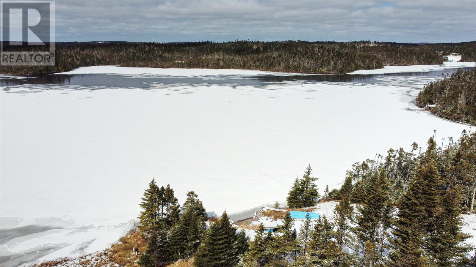 58 Pioneer Line, Salmonier, Newfoundland & Labrador  A0A 2R0 - Photo 31 - 1295466