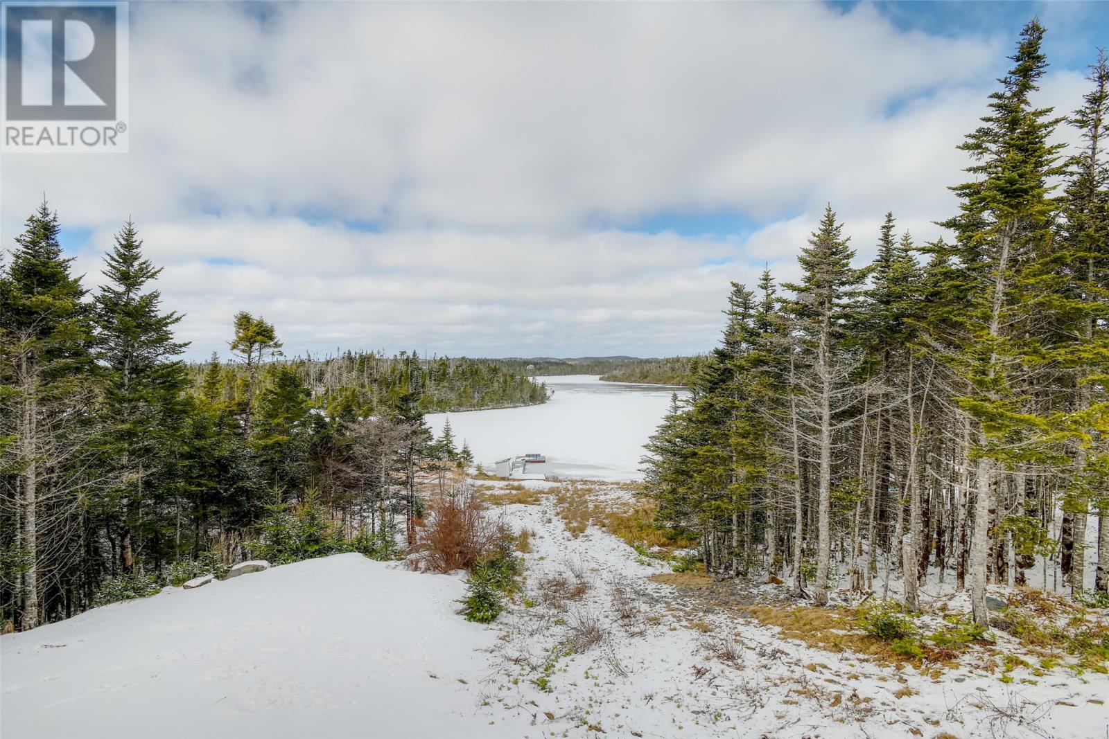 58 Pioneer Line, Salmonier, Newfoundland & Labrador  A0A 2R0 - Photo 4 - 1295466