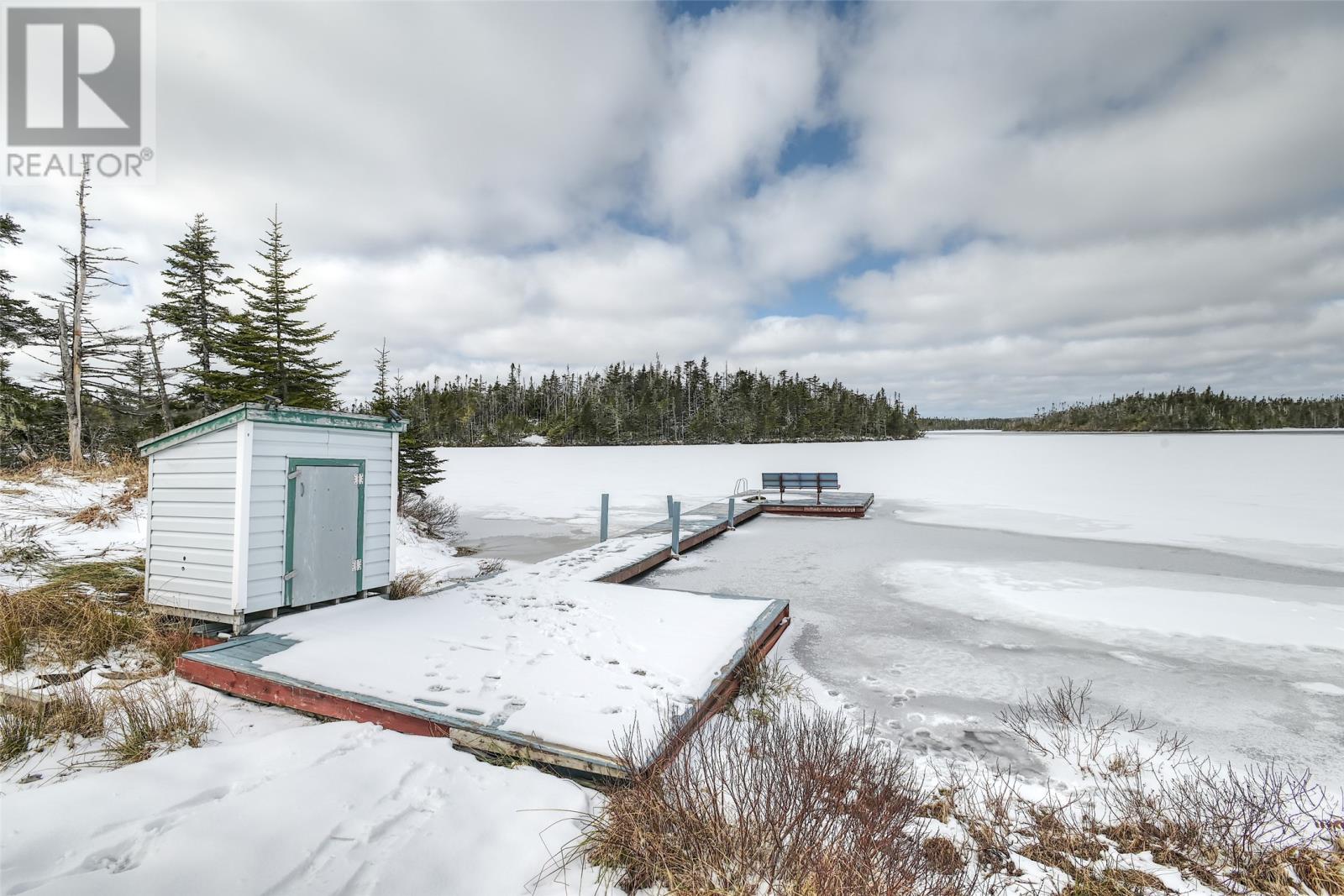 58 Pioneer Line, Salmonier, Newfoundland & Labrador  A0A 2R0 - Photo 28 - 1295446