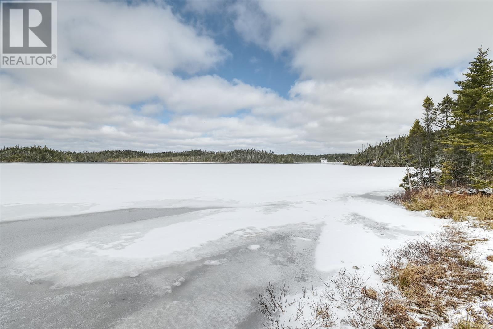 58 Pioneer Line, Salmonier, Newfoundland & Labrador  A0A 2R0 - Photo 30 - 1295446