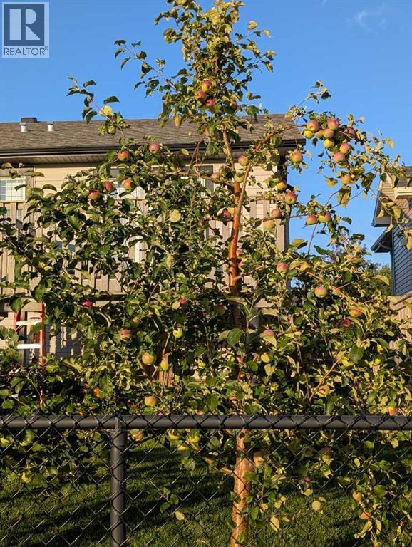 126 Keystone Terrace W, Lethbridge, Alberta  T1J 4A1 - Photo 37 - A2290503