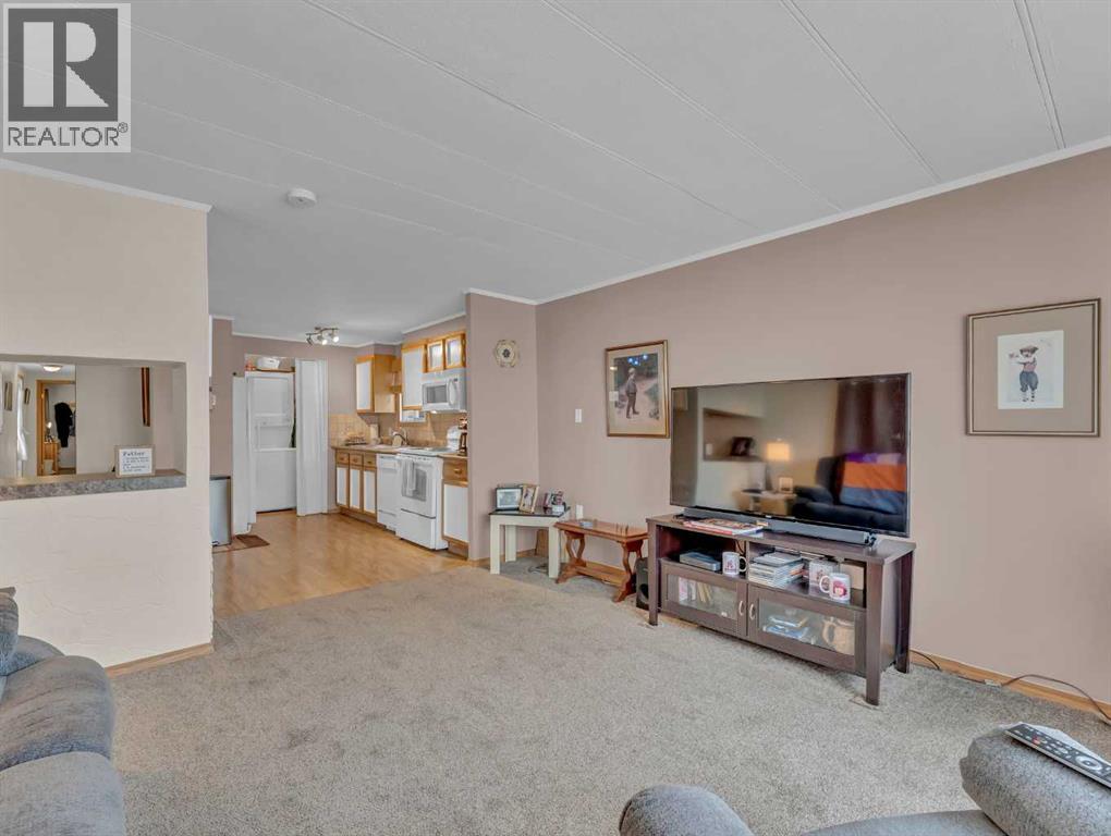 220 Fairchild Street Sw, Medicine Hat, Alberta  T1A 7Z7 - Photo 17 - A2285254