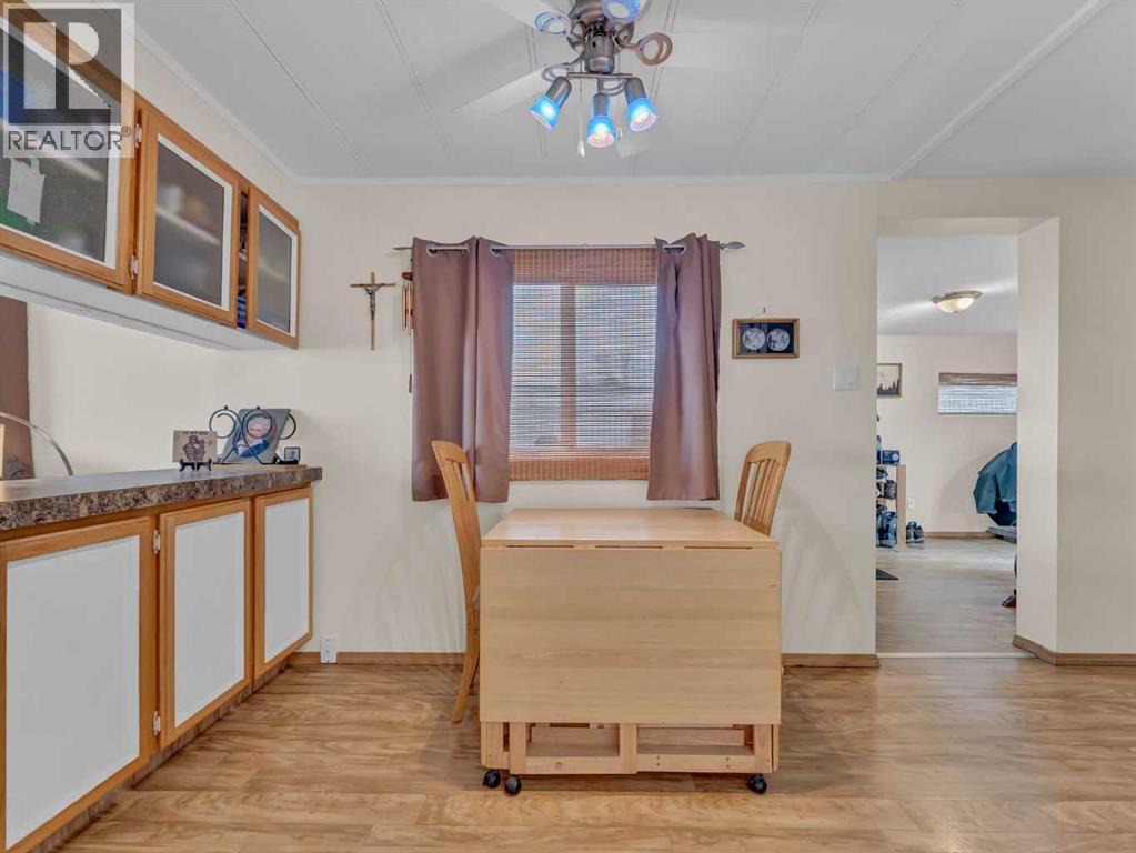 220 Fairchild Street Sw, Medicine Hat, Alberta  T1A 7Z7 - Photo 14 - A2285254