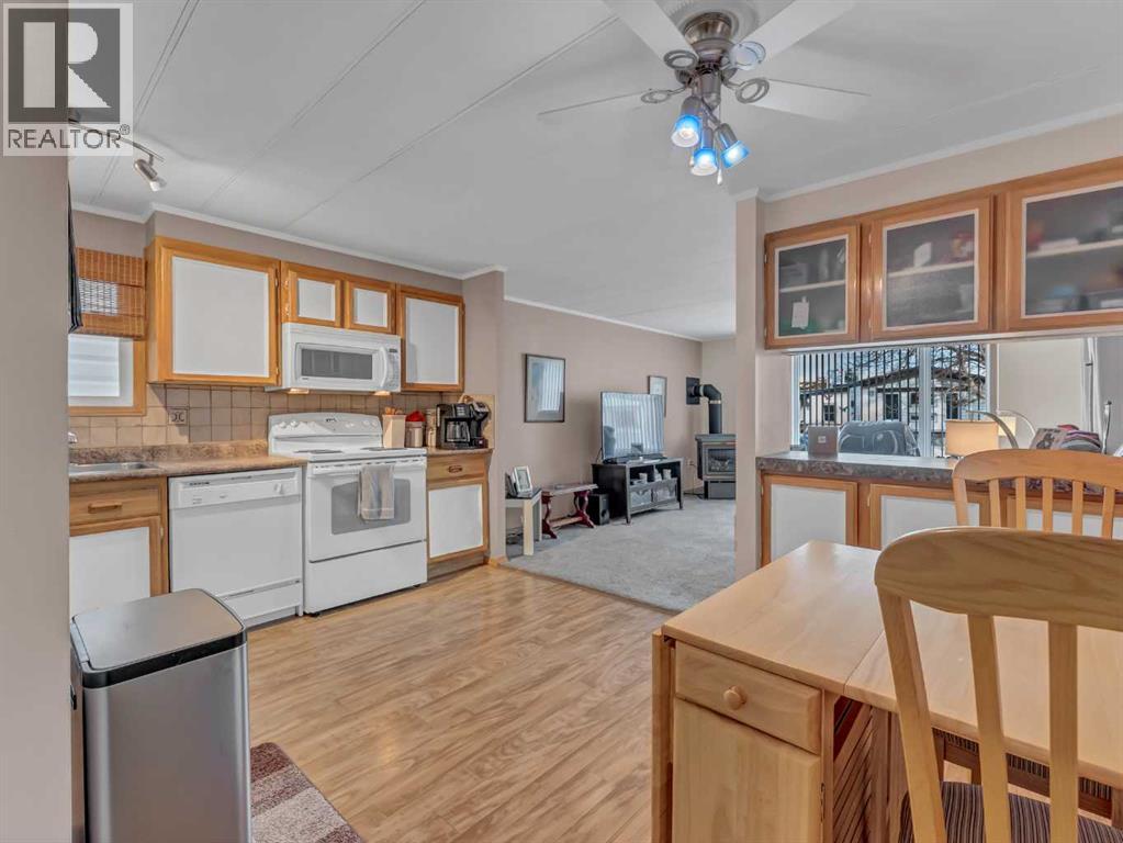 220 Fairchild Street Sw, Medicine Hat, Alberta  T1A 7Z7 - Photo 8 - A2285254