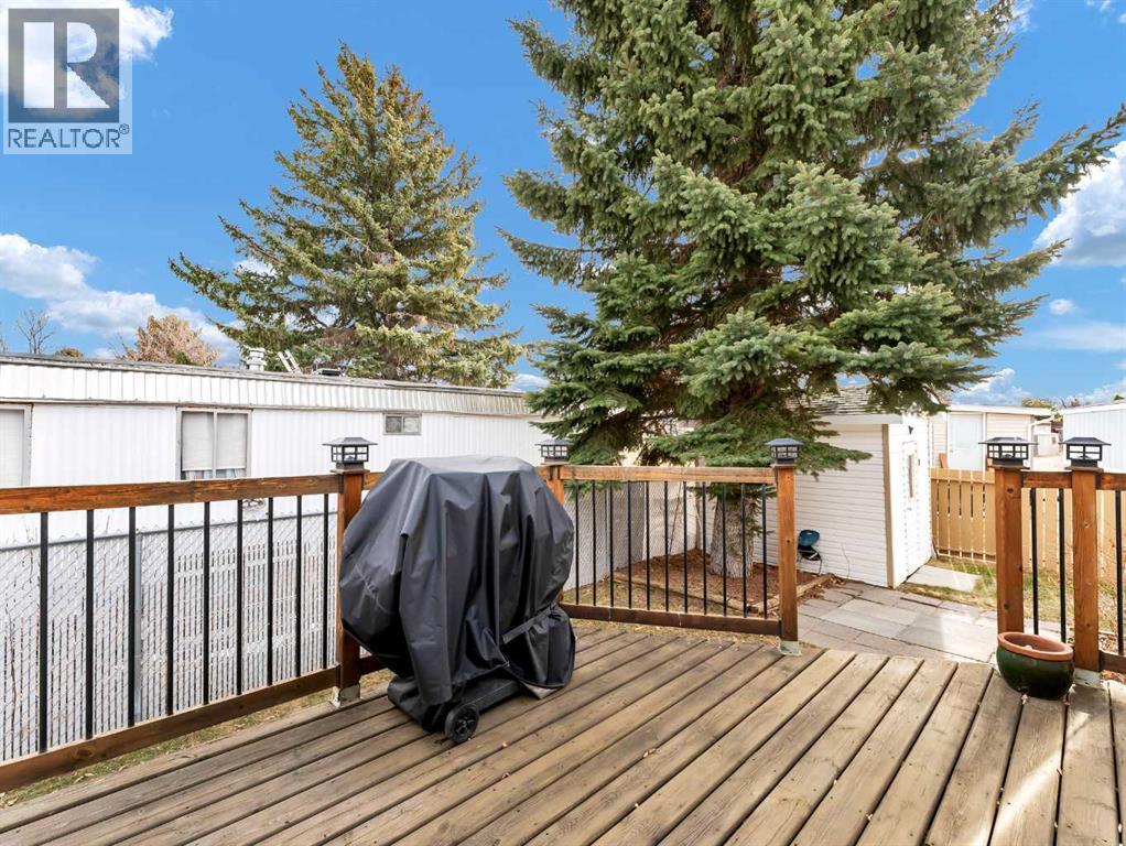 220 Fairchild Street Sw, Medicine Hat, Alberta  T1A 7Z7 - Photo 27 - A2285254